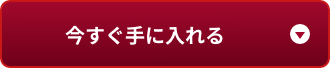 今すぐ手に入れる